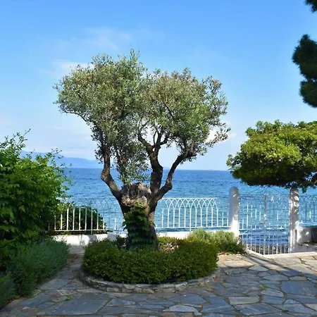 Apartment Anthi's Achladies (Skiathos)